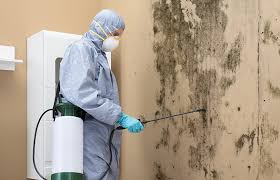 Best Mold Documentation for Insurance Claims  in West View, PA